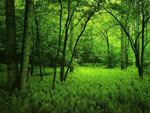 Wallpaper Landscapes - Wallpaper Paysages