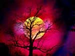 Wallpaper Landscapes - Wallpaper Paysages