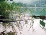 Wallpaper Landscapes - Wallpaper Paysages