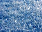 Wallpaper Landscapes - Wallpaper Paysages